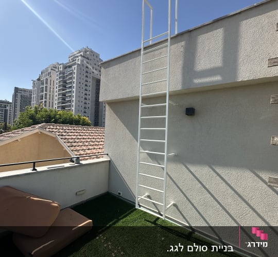 סולם מתכת על גג עם דשא סינתטי